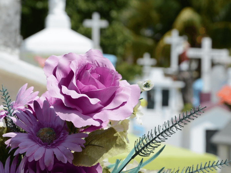 purple flowers at a cemetery purple flowers at a cemetery